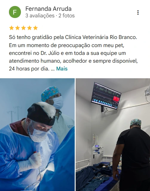 Avaliação 5 estrelas