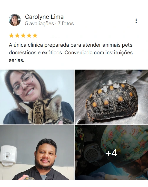 Avaliação 5 estrelas